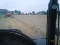 Afbeelding invoegen